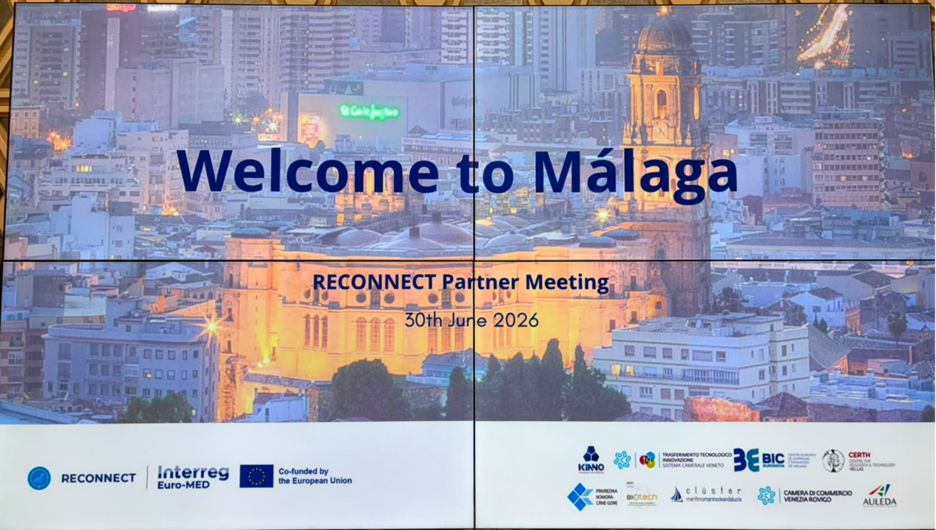 RECONNECT Project Partner Meeting & Pilot Visit